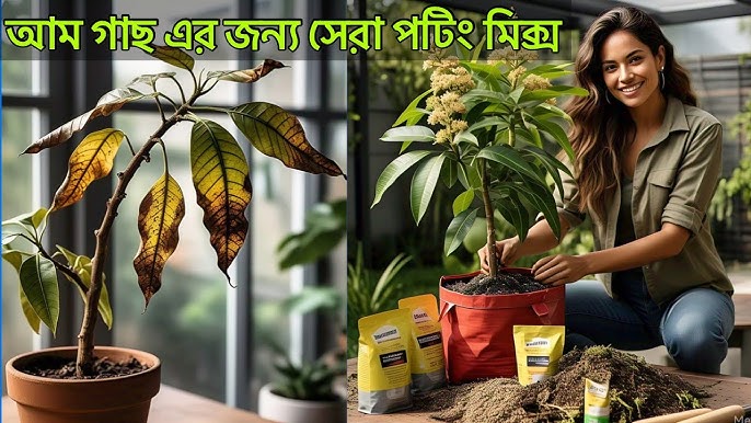 Eng katta sik keksa ayolni sikadi Maritza porno video