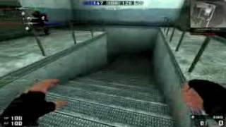 blackshot bugs