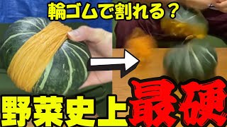 【爆発】 スイカ 輪ゴムは古い！？検証 ！野菜 で１番 硬い カボチャ は輪ゴム 何本で割れる？