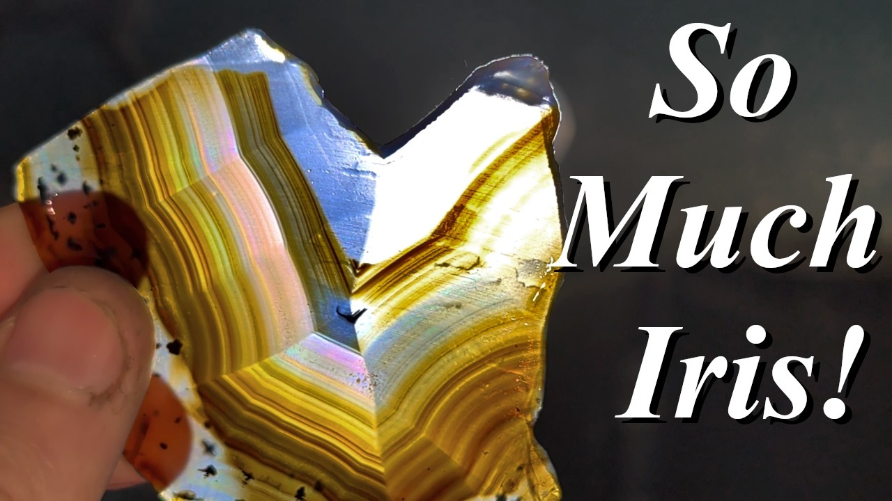 So Much Amazing Iris! Slabbing a 7 Pound MT Agate, Agatized Wood, Montana Moss Agates, & More!