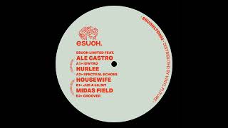 Esuohltd003 V.a. - Esuoh Limited 003