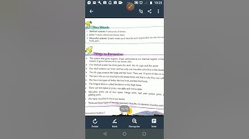 Class V EVS 20-04-2020 by Mr Rupesh