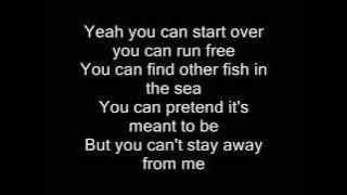 ANIMALS - MAROON 5 (LYRICS)