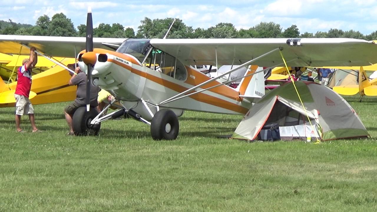 sentimental journey cub haven fly in