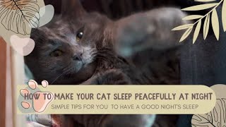 How To Make Your Cat Sleep Peacefully At Night #cats #cat meow by kazick o 104 views 2 years ago 1 minute, 59 seconds