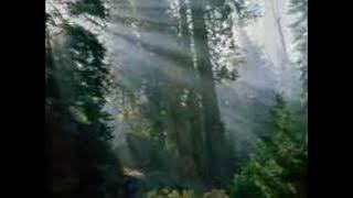 Bright Eyes  -  Art Garfunkel