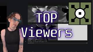 TOP Viewers in TouchDesigner in Excessive Detail