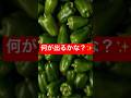 【悪夢】ピーマン🫑から出てきたのは… #おすすめ #おもしろ #お笑い