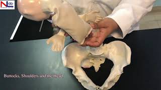Mechanism of Labour in Breech Presentation | Practical Explanation | English | Nursing Lecture