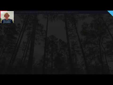 35 acres Petit Jean Mtn Road, Morrilton, AR home video tour