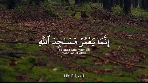 سورة التوبة آية 18: إنما يعمر مساجد الله من آمن بالله واليوم الآخر #سعود_الشريم