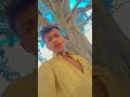 #mha❣️👀🕊️ #song #hindi #video #tending