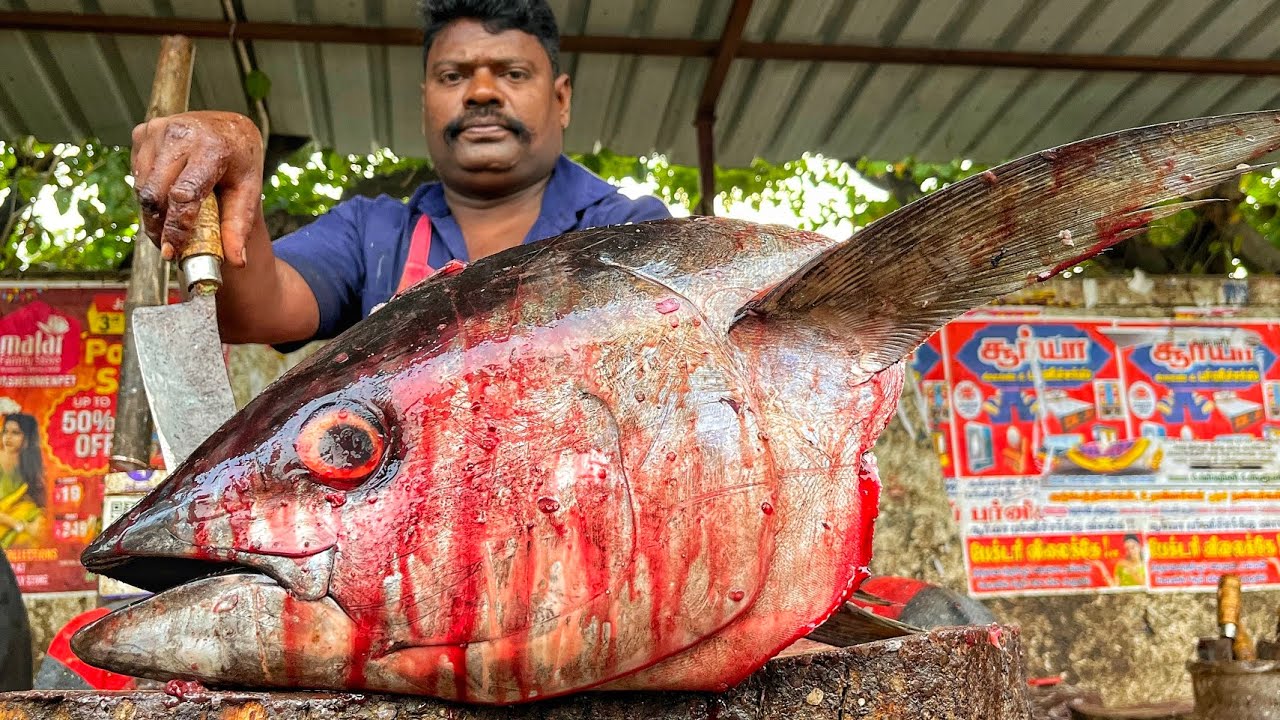KASIMEDU 🔥 SPEED SELVAM | HUGE TUNA FISH HEAD CUTTING VIDEO | 4K VIDEO | CS FISH CUTTING