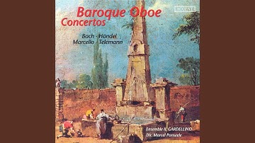 Oboe Concerto in D Minor, S. Z799: I. Andante e spiccato