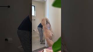 Woman pranked man with a bear costume  #Shorts