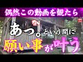 ※見たら1分以内に再生して下さい⚠️もし逃したら二度とありません※ 天照皇大神アマテラススメオオミカミ御降臨のヒカリ が出現しました🌈✨⛩️ 高千穂天天岩戸神社東本宮【遠隔参拝】【リモート参拝】