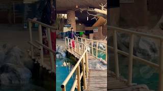 GUHANTARA RESORT🥰#subscribe#love#viral#dance#reels#shorts#fun#family#praramvi#prarambha#ramitha_rami