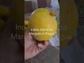 Indian Alphonso mangoes in Prague #mangolovers #ceske #trending #easynutrition #shorts #mangoslices