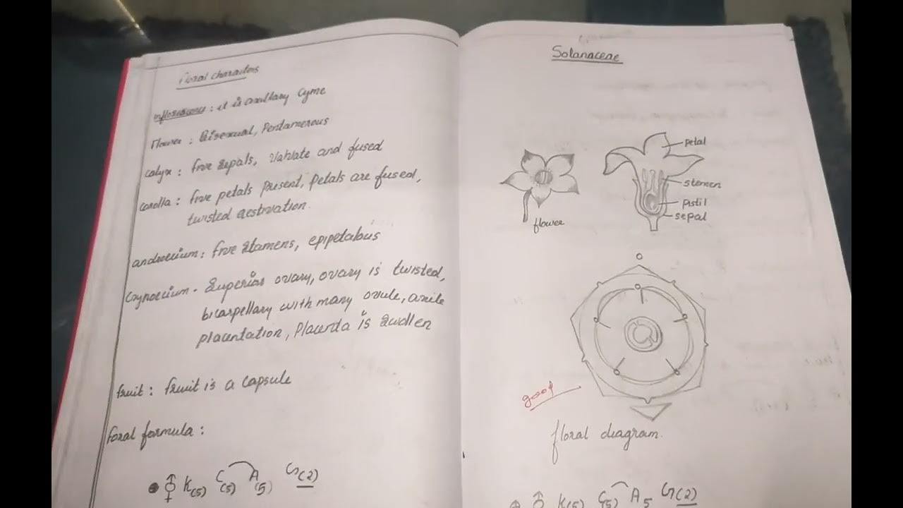 +2 botany observation book writing /practical diary YouTube