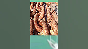 هل تعلم أن المرساة وحدها لا توقف السفينة اكسبلور 
