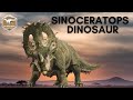 Sinoceratops dinosaur