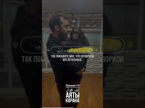 Лукман Чтец محمد ديبيروف Muhammad Dibirov 