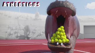 Match suspended ❌ Athleticus | Sport animals | Cartoon in English