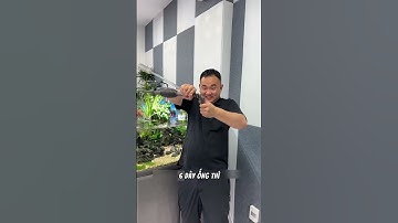 Bơm tay thay nước hồ cá – gọn nhẹ, hút sạch không cần điện #BomTayHoCa #DungCuThayNuoc #KingbioVN