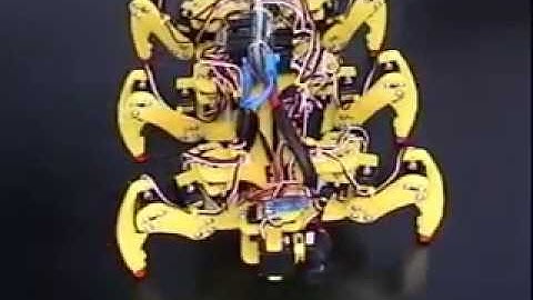 Hexapod Robot V1 Exercises