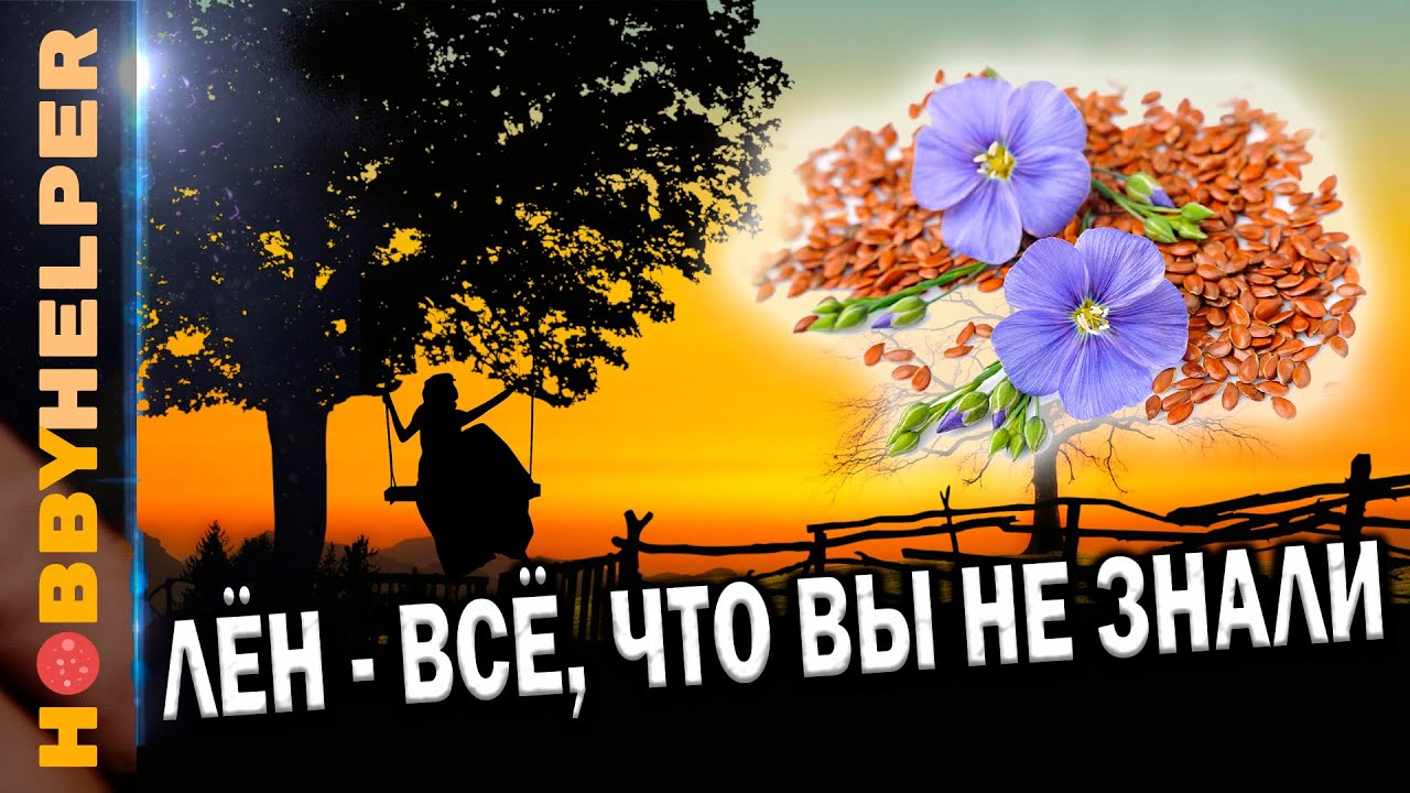 ЛЁН и ЛЬНЯНОЕ СЕМЯ - в чём польза для здоровья? История, факты и научные исследования.