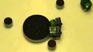 Evolution of altruistic cooperation in a team of clonal Alice robots