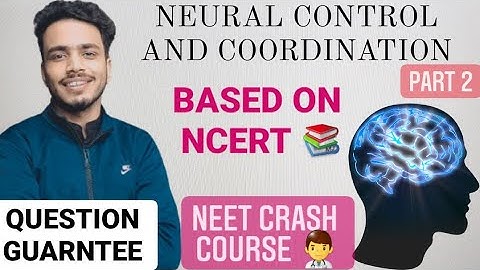 Neural control and coordination class 11 part 2 || Neuron by sg sir | Neet crash course #neet #sgsir