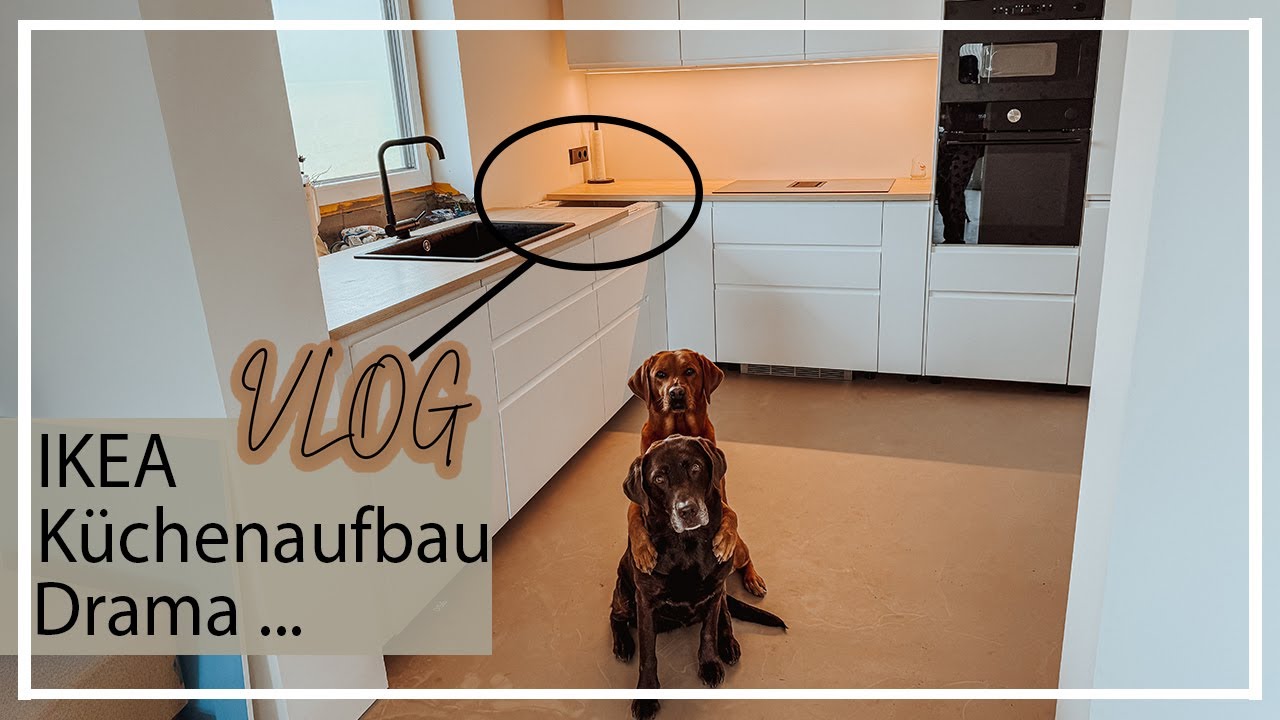 Ikea Küchenaufbau Drama  | die erste Woche im Haus  | Chocolate + Foxred Labrador | KaroLovesMilka