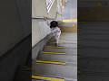 駅の階段を一生懸命登るうなちゃん