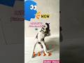 Dog Dance #dance #cute #funny #love #trending #like #subscribe  #Short #huskydog #huskydogdance