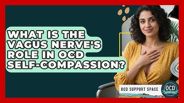 What Is The Vagus Nerve