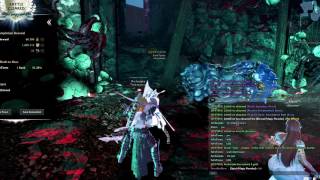 Vindictus - Rise Karok Bug