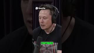 No Talking in 5 Years AI's Rapid Development #elonmusk #joerogan #psychology #ai #tesla