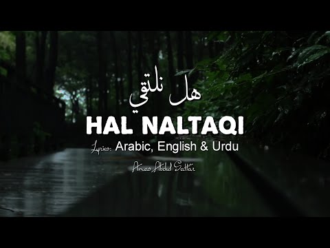   هل نلتقي          