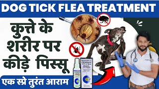 कुत्ते के पिस्सू जूँ मारने का घरेलु कारगर ईलाज | Tick And Flea Treatment for Dogs and Cats In Hindi
