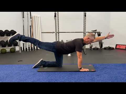 Quadruped | Corrective Exercise for Core Stability & Spine Control