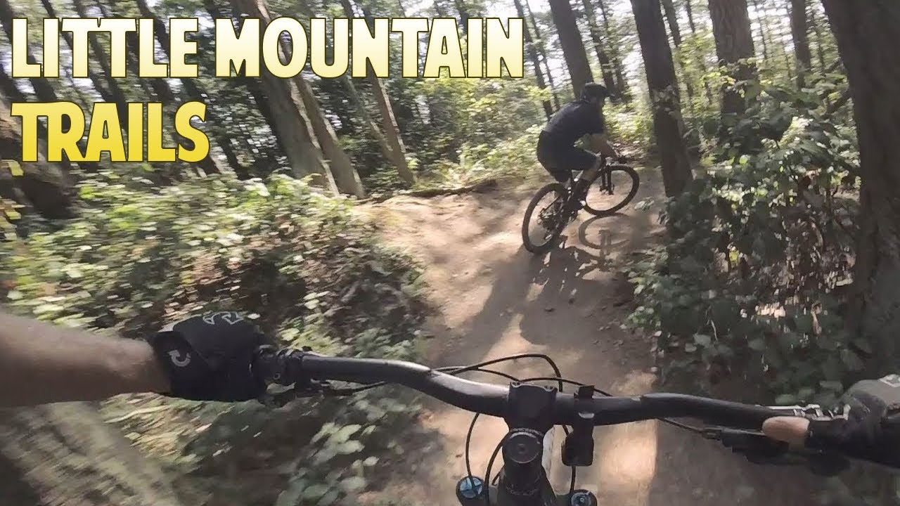 Little Mountain Trails Mount Vernon, WA YouTube