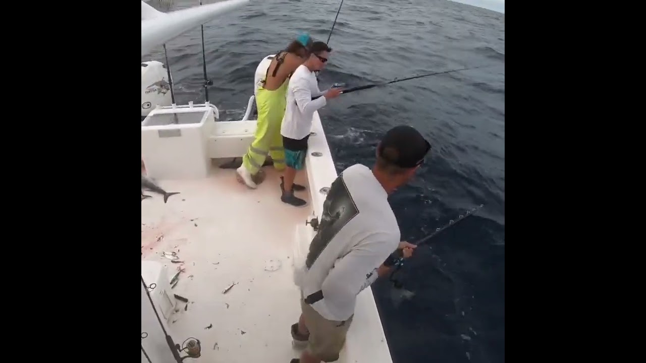 Önce Yem İçin Sonra BÜYÜK BALIK HEYECANI!! #fishing #fish #bassfishing #keşfet #youtubeshorts