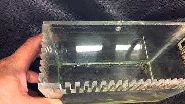 My DIY aquarium overflo intake box