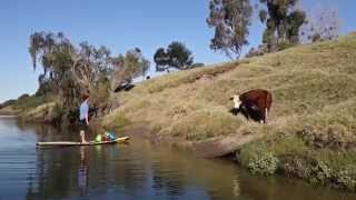 Beau Nixon Sup Clarence River Paddle 4Days85Km