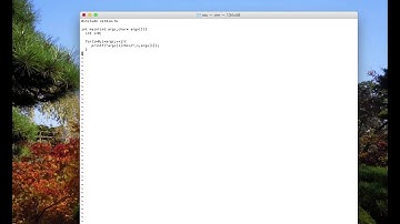 commands options and arguments