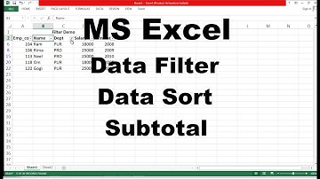 Microsoft Excel Tutorial For Beginners(Data Filter|Subtotal|Data Sort) - Part 7