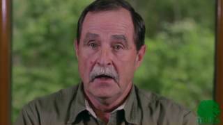 Dr. Marion Jackson - Trees