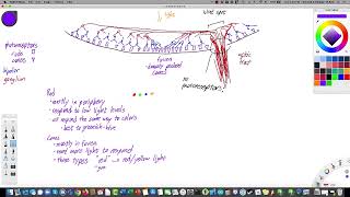 Lecture NS-2c