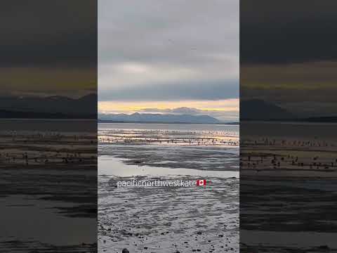 Sunrise Sunday 29 March 2026 Boundary bay Tsawassen BC 🇨🇦